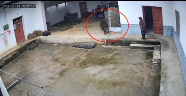 九游体育app娱乐岚皋县 110 接警东说念主员告诉《正在新