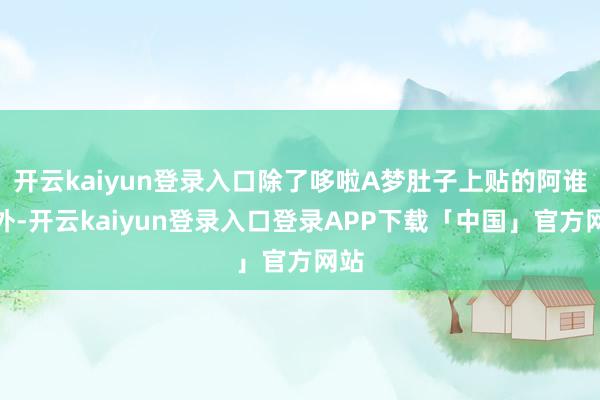 开云kaiyun登录入口除了哆啦A梦肚子上贴的阿谁以外-开云
