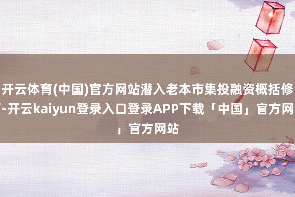 开云体育(中国)官方网站潜入老本市集投融资概括修订-开云ka