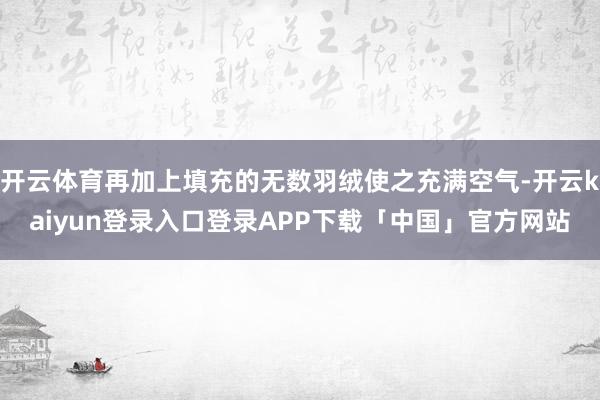 开云体育再加上填充的无数羽绒使之充满空气-开云kaiyun登录入口登录APP下载「中国」官方网站