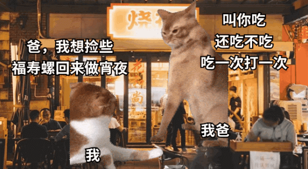 ky体育官网登录入口网页版    福寿螺原产于南好意思洲-开